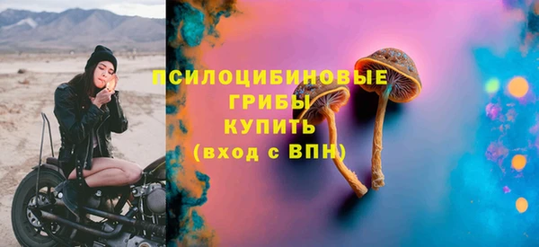 сатива Богданович