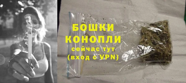 сатива Богданович