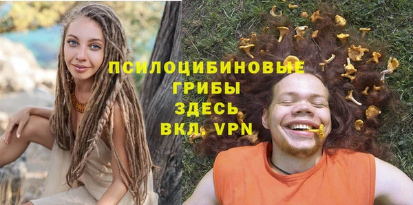 стафф Богородск