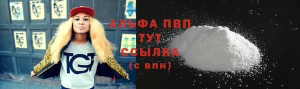 сатива Богданович