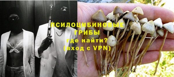 ALPHA-PVP Богородицк