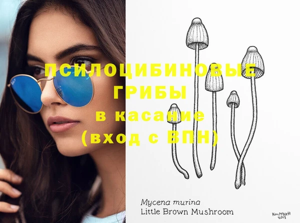 сатива Богданович