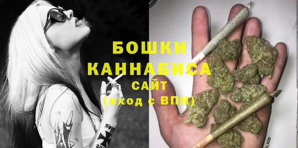 сатива Богданович